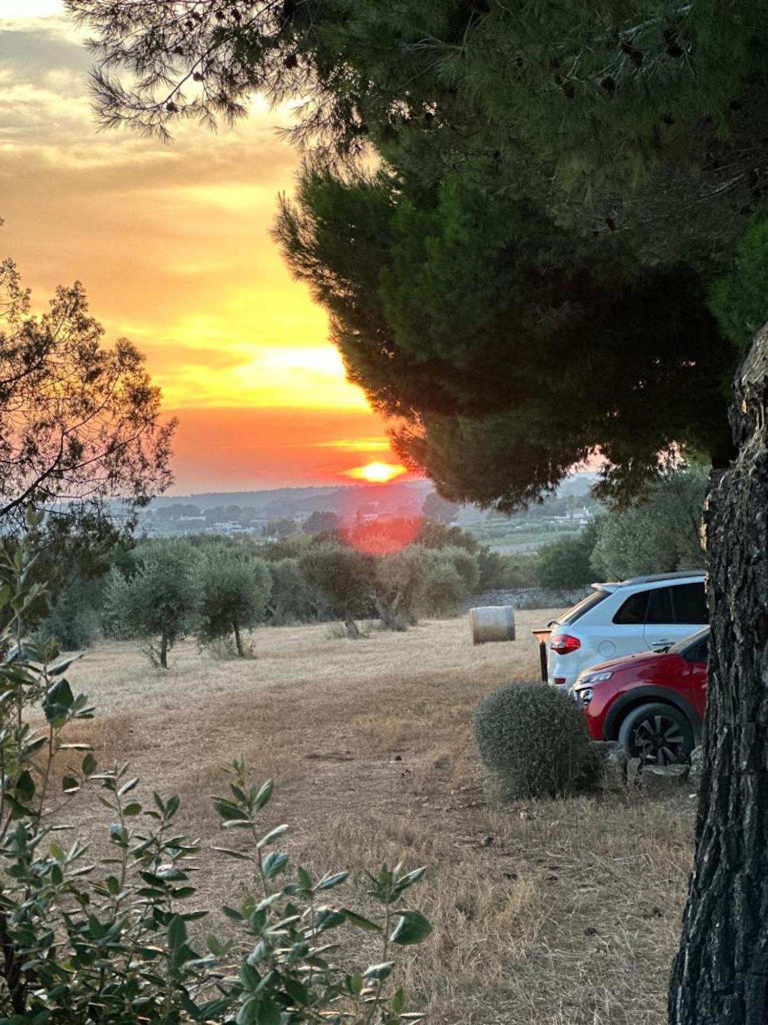 Masseria Battaglini Martina Franca Dış mekan fotoğraf